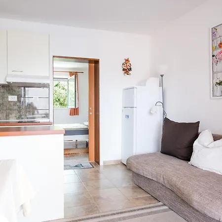 Apartament Vajda *