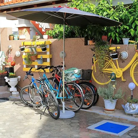 Vajda Apartament